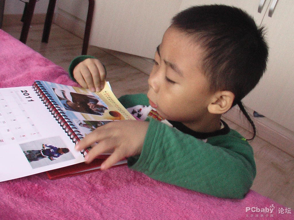 海豚對(duì)這本臺(tái)歷可是很有興趣呢，一直沒(méi)撒手