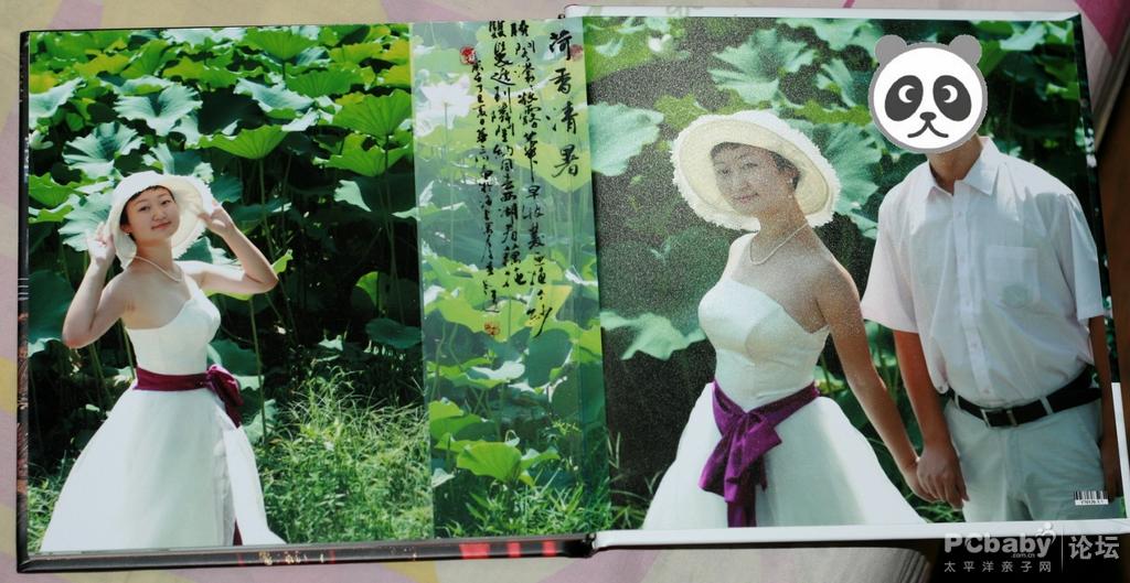 荷塘月色，哈哈，只能想想